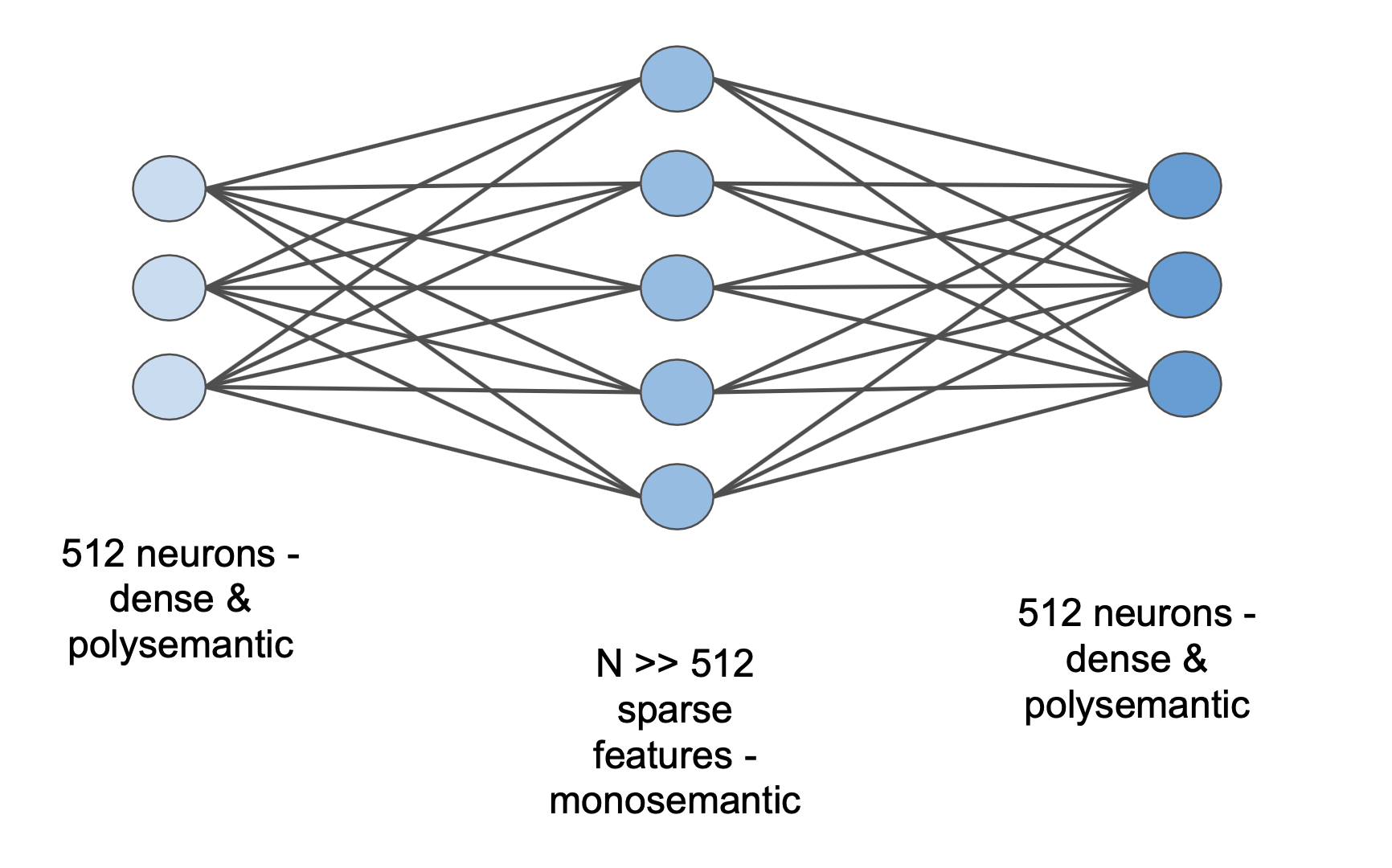 Autoencoder representation