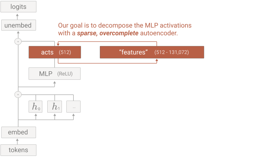 Transformer with an AutoEncoder attached